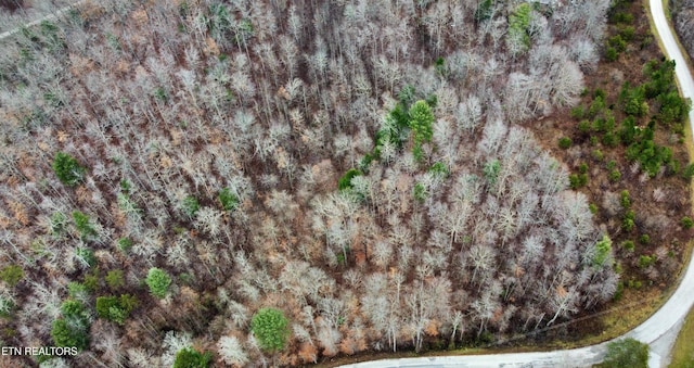 0 Rock House Rd, Pioneer, TN 37847