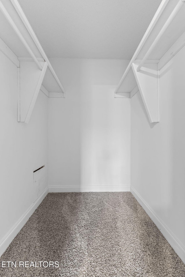 spacious closet featuring carpet