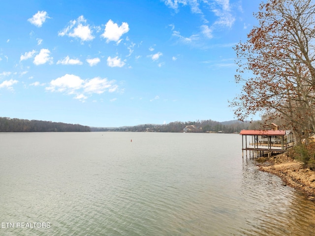 view of water feature featuring a boat dock