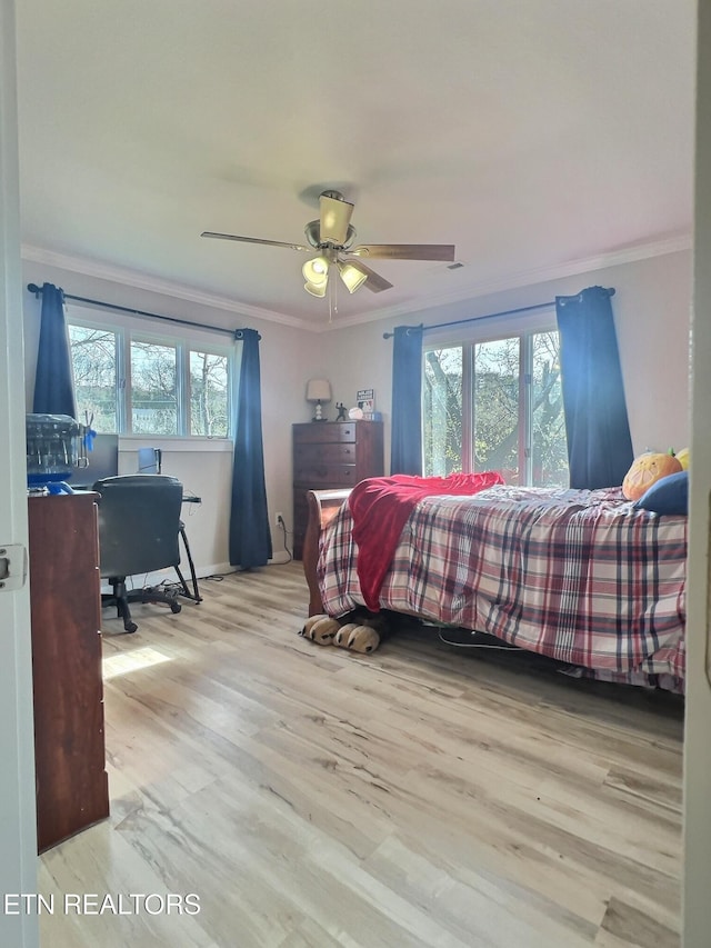 bedroom featuring multiple windows, crown molding, ceiling fan, and light wood-type flooring