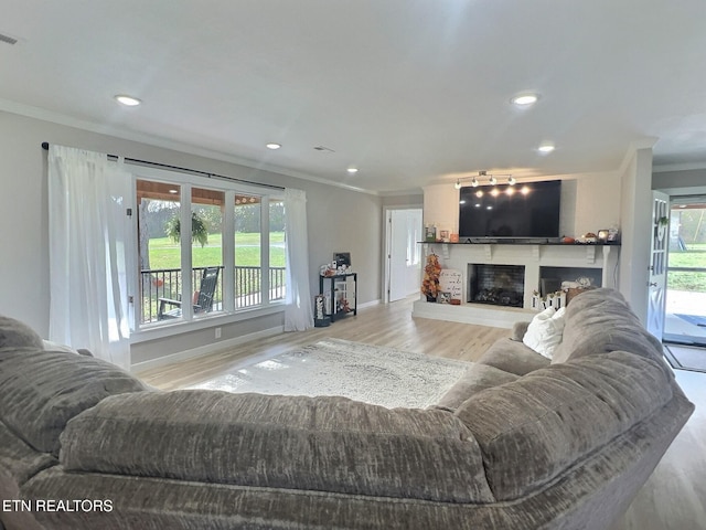 living room featuring light wood-type flooring, plenty of natural light, and crown molding