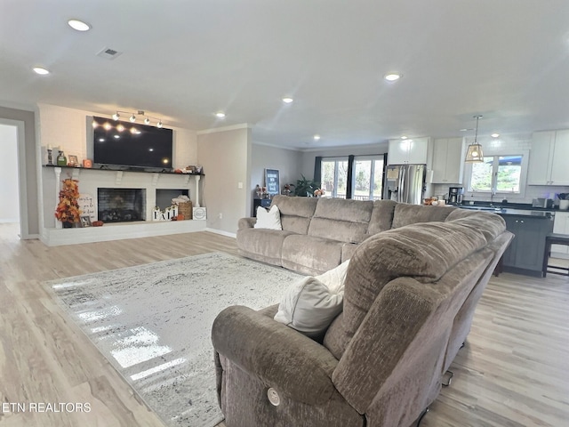 living room featuring light hardwood / wood-style floors, plenty of natural light, and ornamental molding