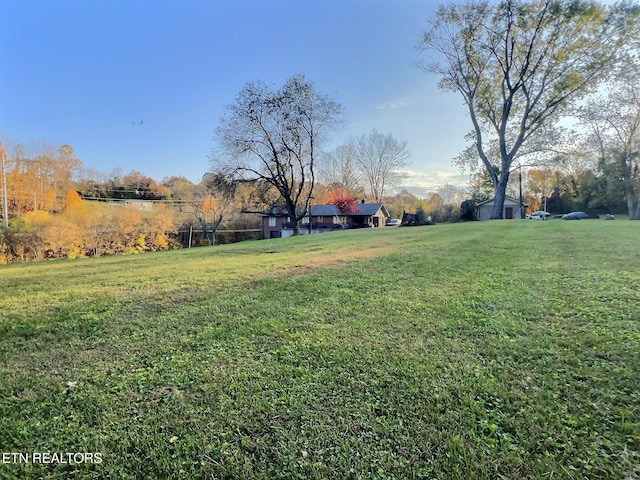 view of yard with a rural view