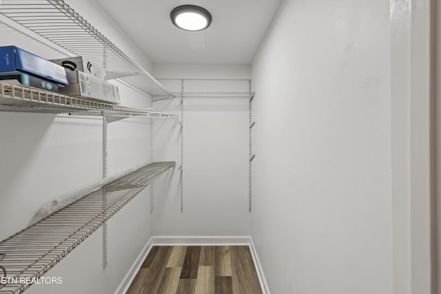 walk in closet featuring wood-type flooring