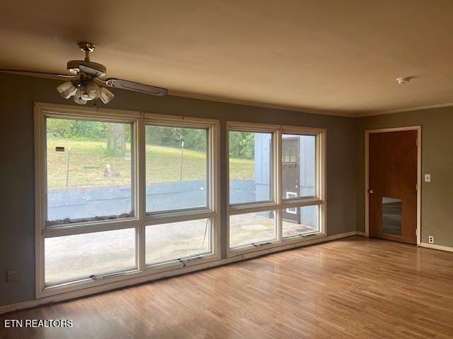 doorway to outside featuring wood-type flooring and ceiling fan