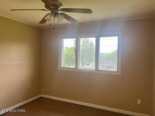 empty room featuring ceiling fan and crown molding