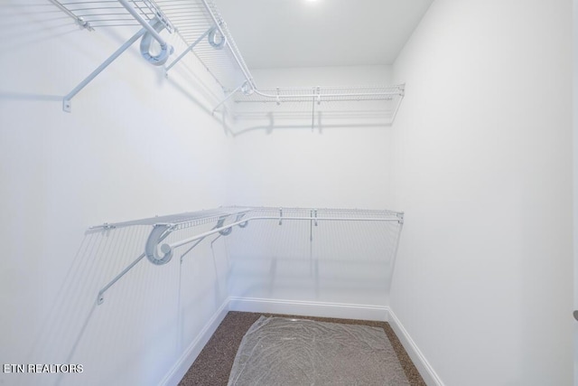 spacious closet with carpet floors