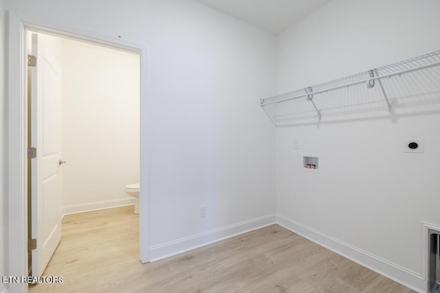 laundry area featuring electric dryer hookup, light wood-type flooring, and washer hookup