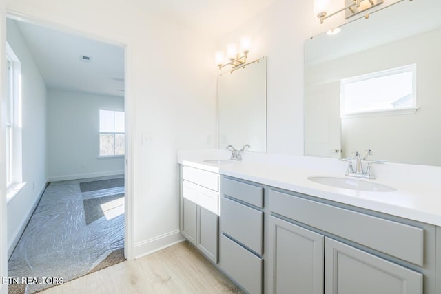 bathroom featuring wood-type flooring and vanity