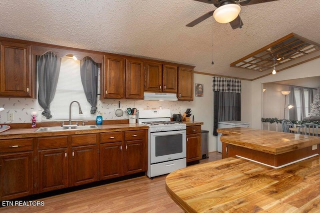 kitchen with sink, light hardwood / wood-style flooring, ceiling fan, a textured ceiling, and white gas stove