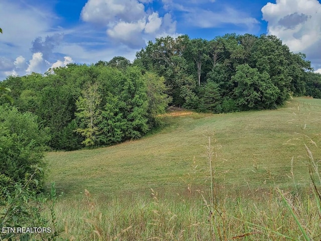 Listing photo 3 for LOT18 Bentview Dr, Kodak TN 37764