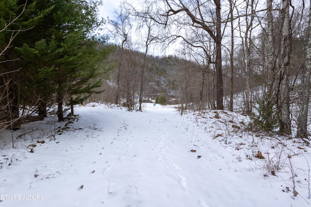 725 Little Dry Run Rd, Butler, TN 37640 - photo 17