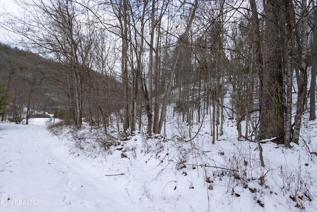 725 Little Dry Run Rd, Butler, TN 37640 - photo 19