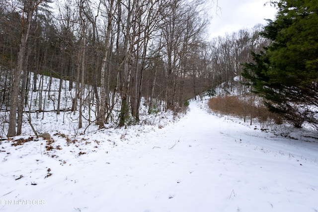 725 Little Dry Run Rd, Butler, TN 37640 - photo 24