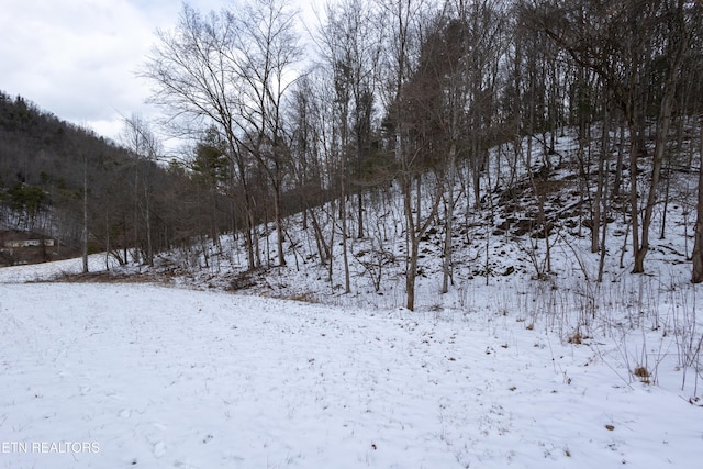 725 Little Dry Run Rd, Butler, TN 37640 - photo 21