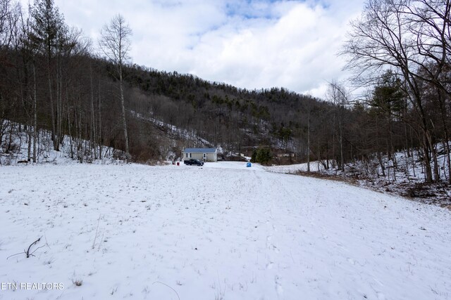 725 Little Dry Run Rd, Butler, TN 37640 - photo 22