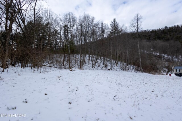 725 Little Dry Run Rd, Butler, TN 37640 - photo 23