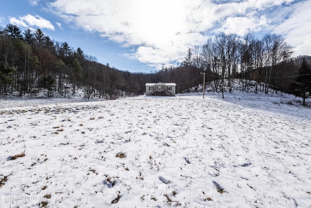 725 Little Dry Run Rd, Butler, TN 37640 - photo 16