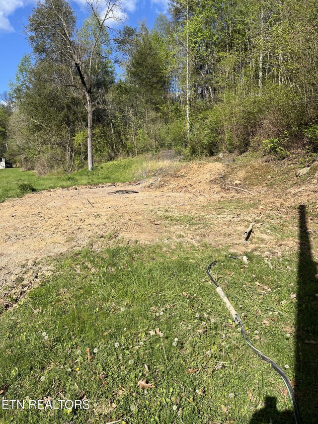 107 Cape Norris Rd, New Tazewell, TN 37825