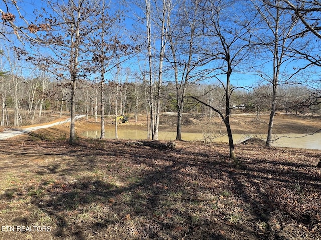 view of yard with a water view