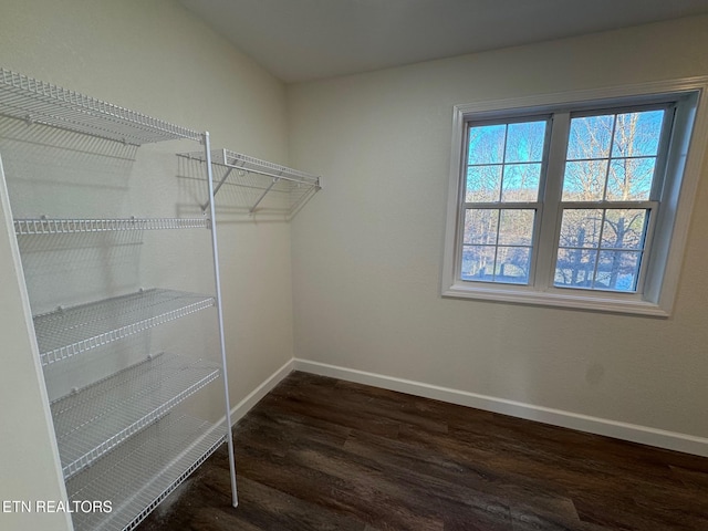 spacious closet with dark wood-type flooring