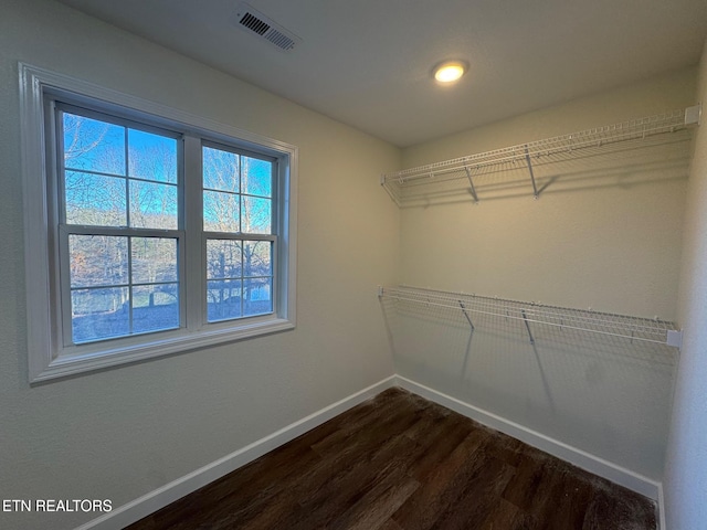 walk in closet featuring dark hardwood / wood-style flooring