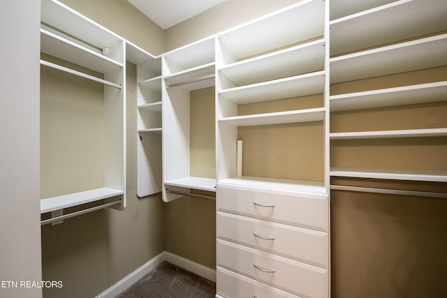 spacious closet featuring carpet floors