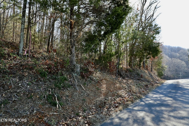 1 County Road 279, Niota, TN 37826