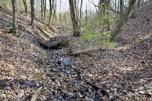 1 County Road 279, Niota, TN 37826
