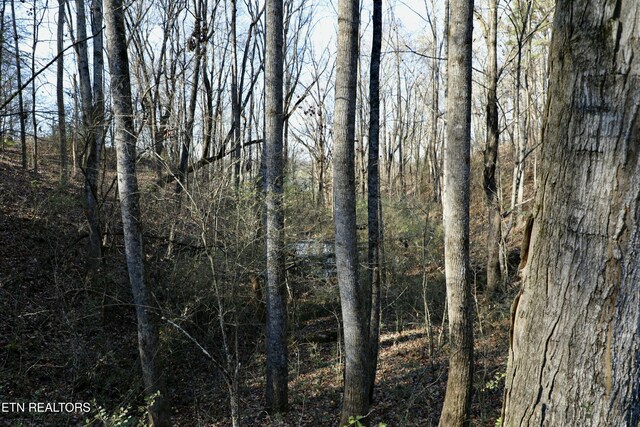 1 County Road 279, Niota, TN 37826