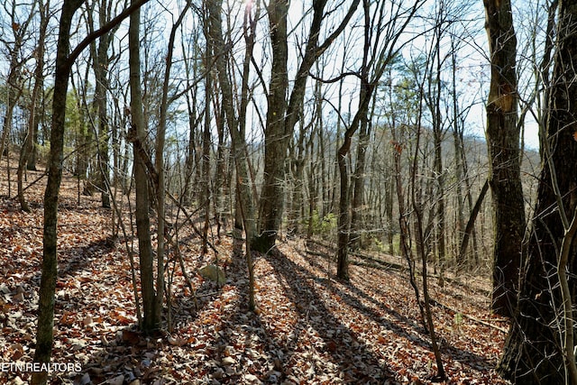 1 County Road 279, Niota, TN 37826