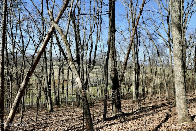 1 County Road 279, Niota, TN 37826