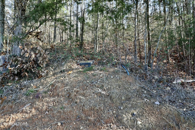 1 County Road 279, Niota, TN 37826