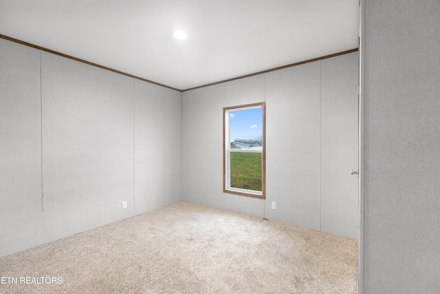 spare room featuring carpet flooring and ornamental molding