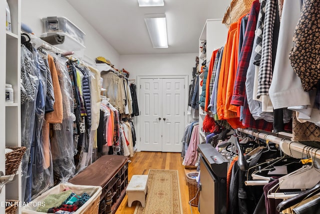 walk in closet with light wood-type flooring