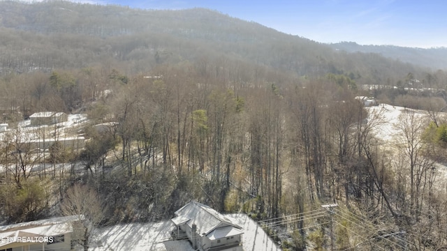 1886 5th St, Jellico, TN 37762 - birds eye view of property with a mountain view