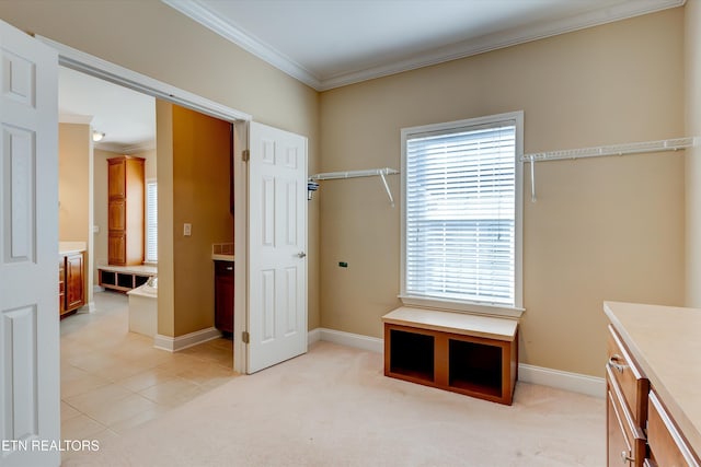 271 Alexis Ln, Lenoir City, TN 37772 - photo 20