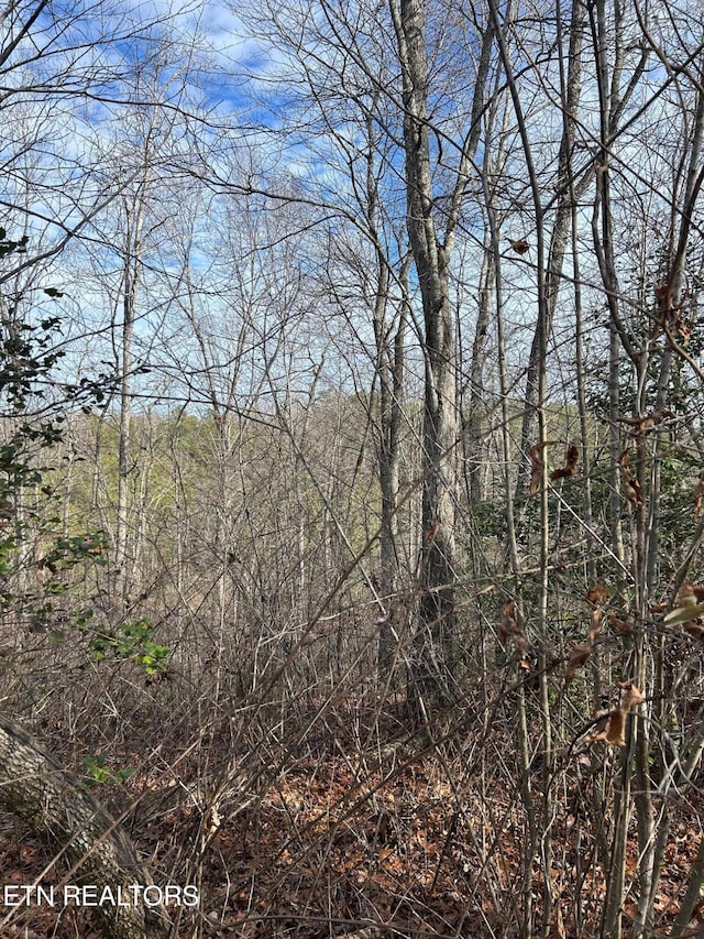 Listing photo 2 for Vanwinkle Cemetery Rd, Crossville TN 38572