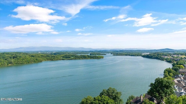 view of water feature with a mountain view