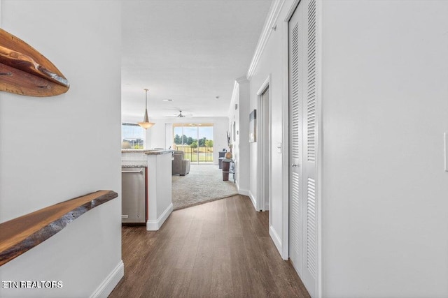 corridor featuring dark wood-type flooring and ornamental molding