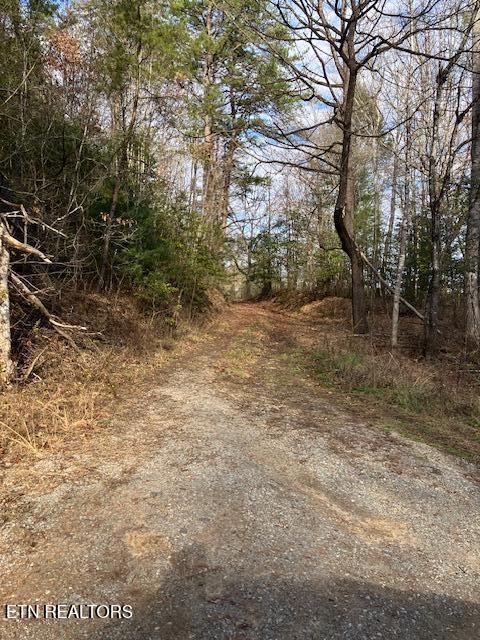 112 Benefield Rd, Turtletown TN, 37391 land for sale