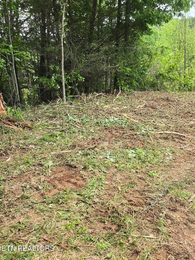 112 Benefield Rd, Turtletown, TN 37391