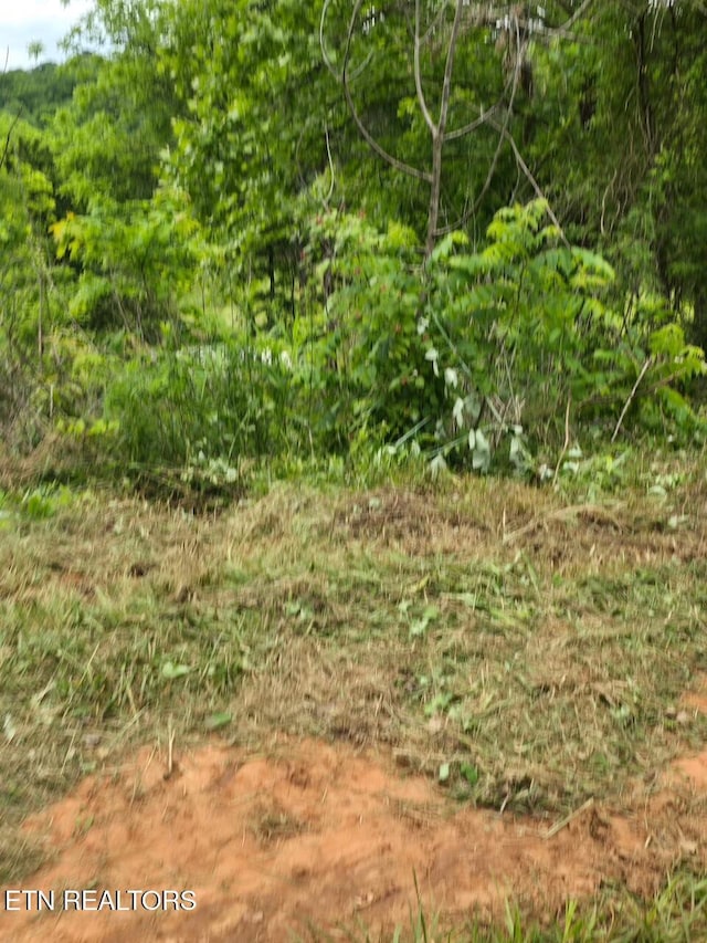 112 Benefield Rd, Turtletown, TN 37391