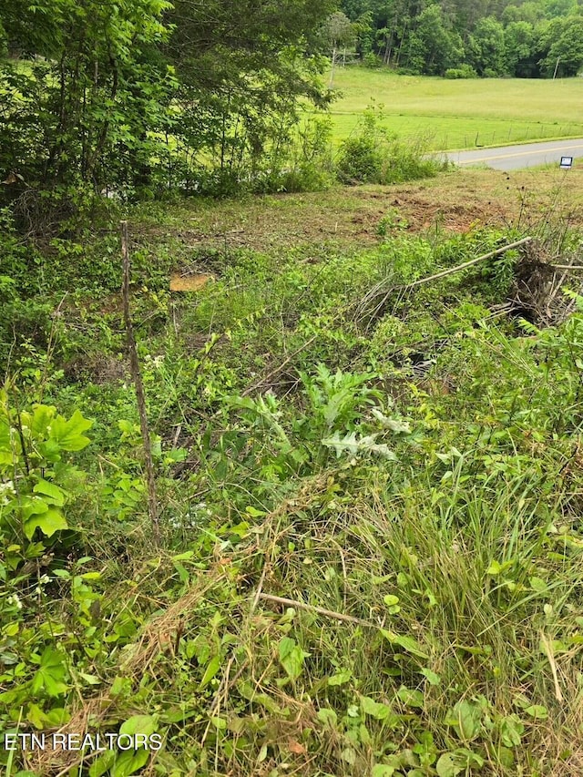 112 Benefield Rd, Turtletown, TN 37391