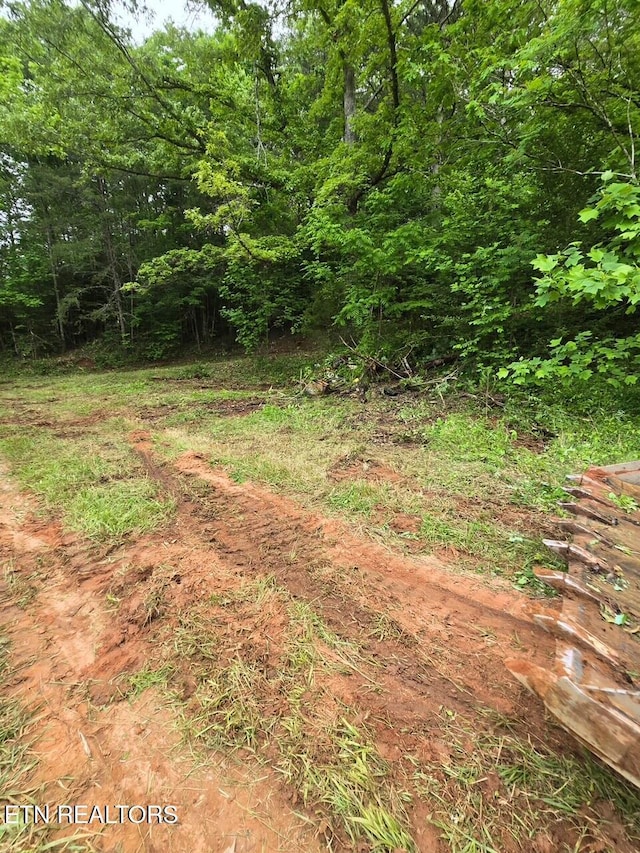 112 Benefield Rd, Turtletown, TN 37391