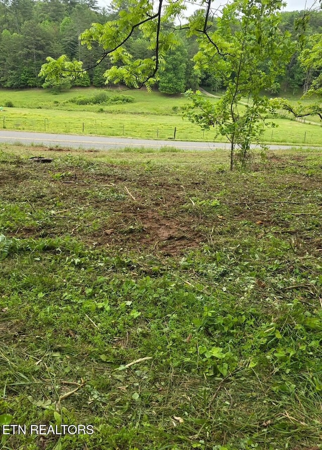 112 Benefield Rd, Turtletown, TN 37391