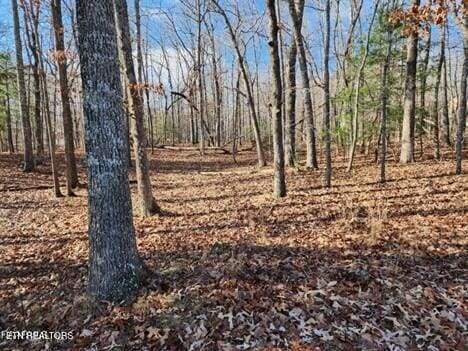 148 Ivy Brook Ln, Fairfield Glade TN, 38558 land for sale