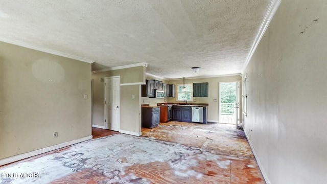 kitchen featuring sink, crown molding, a textured ceiling, and appliances with stainless steel finishes