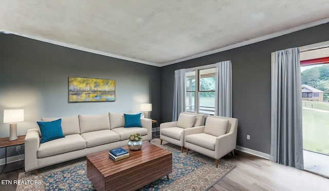 living room with hardwood / wood-style flooring and ornamental molding