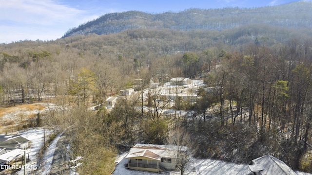 bird's eye view with a mountain view